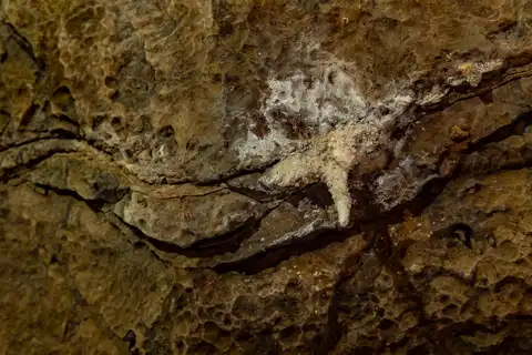 The Baby | Sudwala Caves