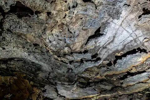 The Stromatolites | Sudwala Caves