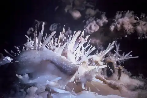 Crystal Tours | Sudwala Caves