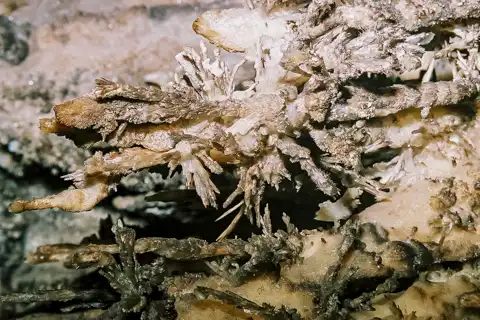 Crystal Tours | Sudwala Caves