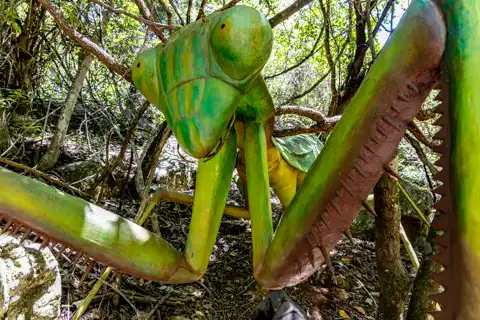 Sudwala Nature Garden | Sudwala Experience