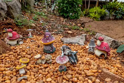 Sudwala Nature Garden | Sudwala Experience