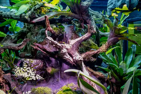 Sudwala Nature Garden