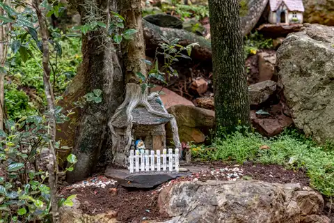 Sudwala Nature Garden | Sudwala Experience