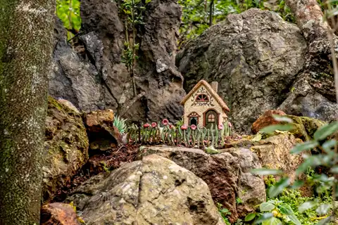 Sudwala Nature Garden | Sudwala Experience