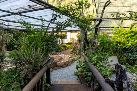 Sudwala Nature Garden | Sudwala Experience