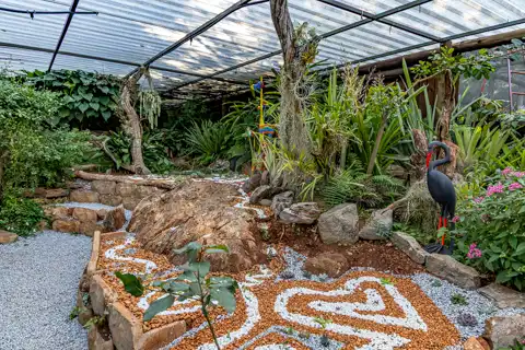 Sudwala Nature Garden | Sudwala Experience