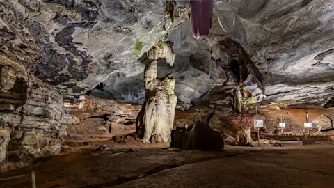 Screaming Monster | Sudwala Caves