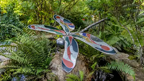 Sudwala Nature Garden | Sudwala Experience