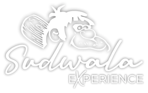 Sudwala Experience