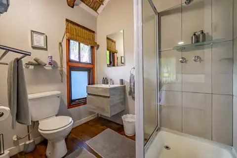 Gecko Room | Sudwala Caves