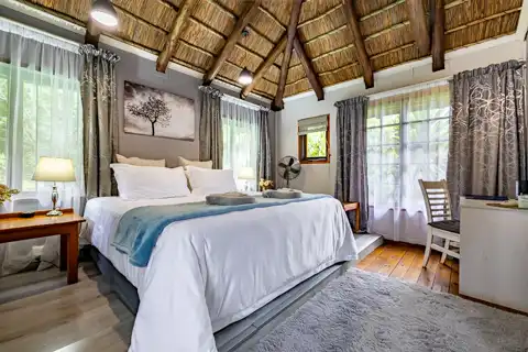 Gecko Room | Sudwala Caves