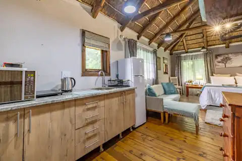 Gecko Room | Sudwala Caves