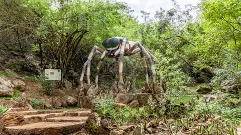 Sudwala Nature Garden | Sudwala Experience