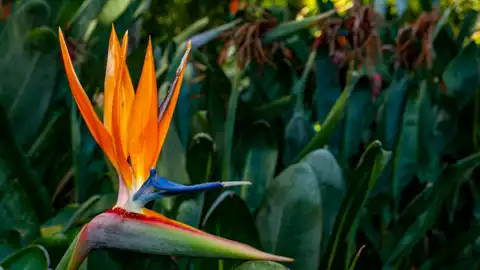 The Guys Photography - © www.theguys.co.za