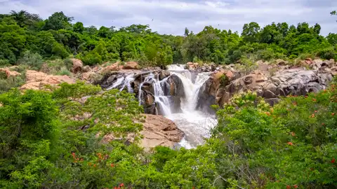 The Guys Photography - © www.theguys.co.za