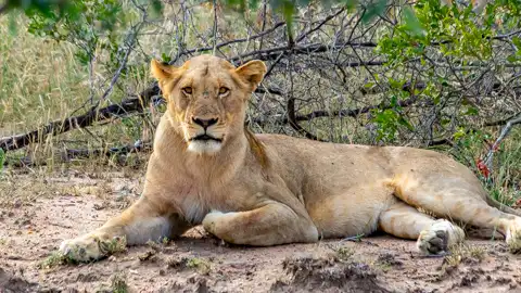 The Guys Photography - © www.theguys.co.za