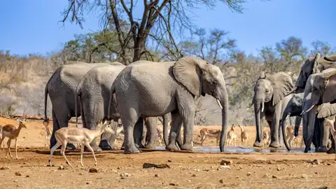 The Guys Photography - © www.theguys.co.za