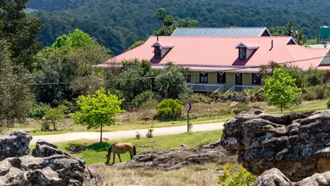 The Guys Photography - © www.theguys.co.za