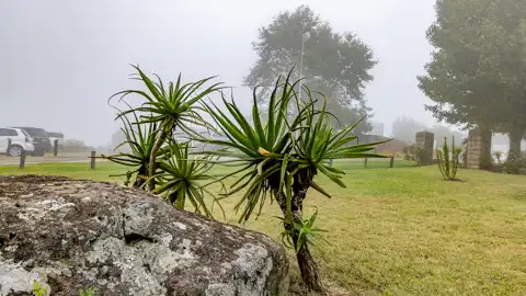 The Guys Photography - © www.theguys.co.za