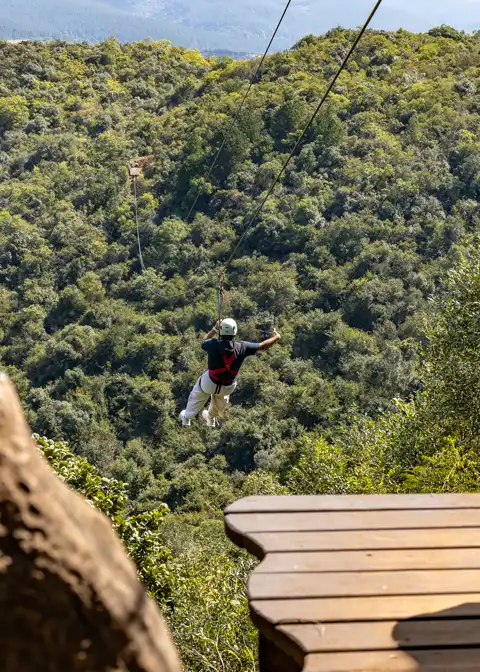 Sudwala Zipline | Sudwala Experience